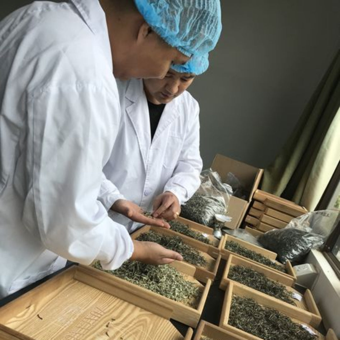 lefy brew hand craft tea