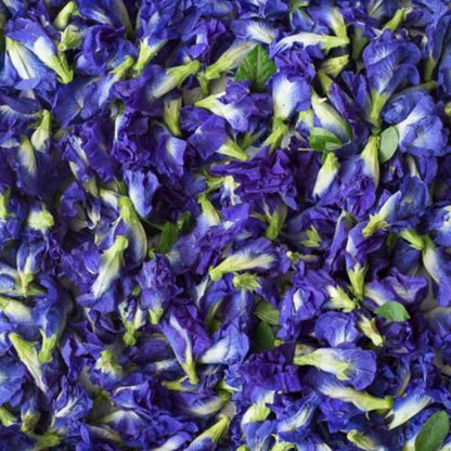 BUTTERFLY PEA FLOWER TEA